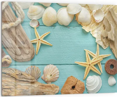 Produktbild von DEQORI Küchenrückwand Glas 80x60 cm 'Meeresmärchen' Spritzschutz Bad Rückwand Küche
