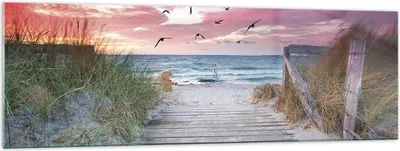 Produktbild von Bilder auf glas - Einteilig - Strand Sand Vögel - 160x50cm - Glasbilder - Wandbilder - Bilder - zum Aufhängen bereit - Wanddekoration aus Glas - Glas Bilder - Wandbild auf Glas - GAB160x50-4994