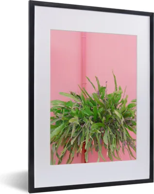 Produktbild von MuchoWow® Gerahmtes Poster Pflanze - Sommer - Rosa 30x40 cm - Poster mit Schwarzem Bilderrahmen Wandposter Rahmen Foto Bilder - Wandposter Schlafzimmer