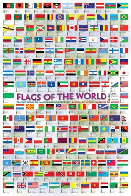 Image de Educational - Éducation - Drapeaux du monde - Poster éducatif 61x91,5 cm