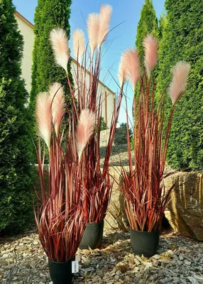 Produktbild von artplants.de Künstliches Pampasgras WERNHILD mit Rispen, Künstlichestopf, rot-braun, 90cm - Deko Pampasgras