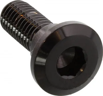 Productafbeelding van Remblokschroef JMP M8x1,25x24mm, roestvrij staal, zwart