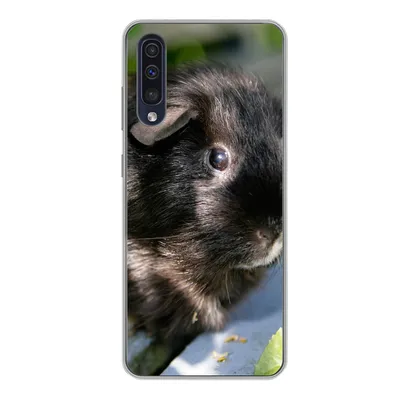Produktbild von MuchoWow® Handyhülle Schutzhülle Hülle für Samsung Galaxy A50 Meerschweinchen im Garten Silikon Softcase Handy Hülle - Mobiltelefonhülle