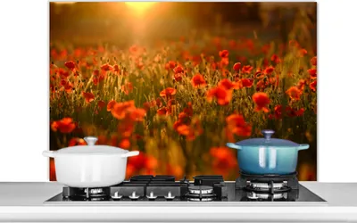 Produktbild von KitchenYeah®  Spritzschutz Küche - Küchenrückwand - Wandschutz für Herd und Spüle - Orangefarbenes Leuchten über den Mohnblumen auf dem Feld 100x65 - Alu-Dibond (Alternative zum Spritzschutz aus Glas)