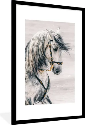 Produktbild von MuchoWow® MuchoWow® Gerahmtes Poster Pferd - Gold - Halfter 60x90 cm - Poster mit zchwarzem Bilderrahmen - Dekoration - Wandposter Wohnzimmer - Hochwertig