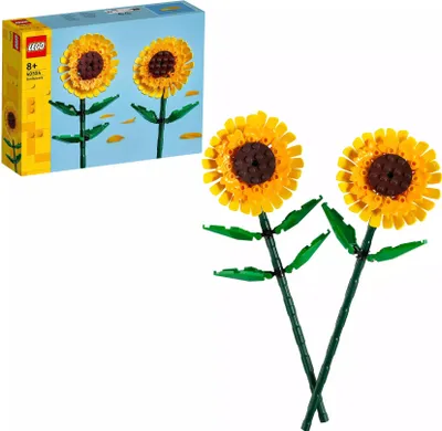 Obrázek produktu pro Slunečnice