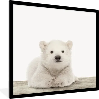 Produktbild von MuchoWow® Gerahmtes Poster Eisbär - Tiere - Kinder - Weiß - Jungen - Mädchen 40x40 cm - Poster mit Schwarzem Bilderrahmen Wandposter Rahmen Foto Bilder - Mit Rahmen - Wanddekoration Schlafzimmer