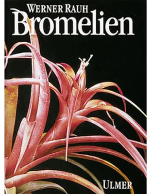 Image de Bromelien