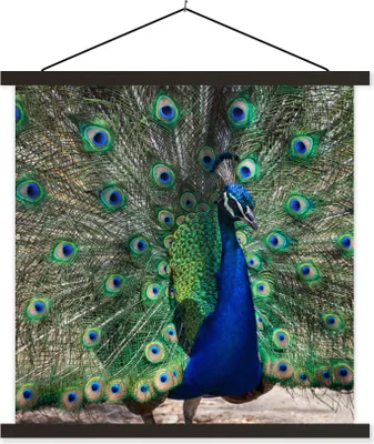 Produktbild von MuchoWow® Textilposter Pfauenfedern - Grün - Blau 90x90 cm mit schwarzem Rahmen - Magnetisches