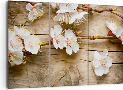 Produktbild von Bild auf Leinwand - Leinwandbild - Blume Stängel - 105x70cm - Wand Bild - Wanddeko - Wandbilder - Leinwanddruck - Bilder - Kunstdruck - Wanddekoration - Leinwand bilder - Wandkunst - CE105x70-3537