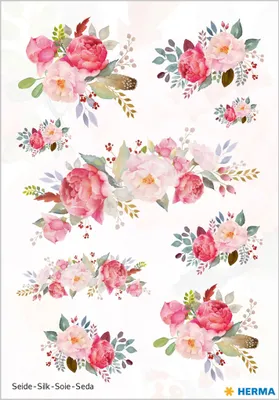 Image de Autocollants velours HERMA avec des pivoines en soie brillante – des fleurs colorées pour la décoration