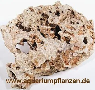 Produktbild von ca. 1 kg Lochgestein mittel, Malawibecken Aquarium
