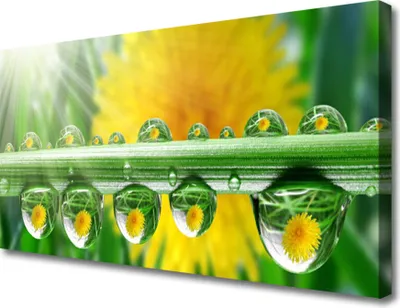 Produktbild von Tulup Leinwand-Bilder 100x50 Wandbild Canvas Kunstdruck Stängel Tautropfen Pflanzen
