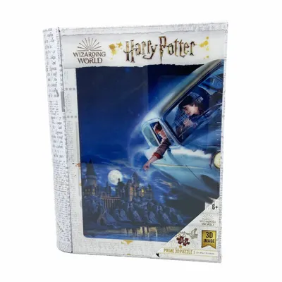 Zdjęcie produktu dla Książka z puzzlami soczewkowymi Harry Potter i Ron w Fordzie Anglia