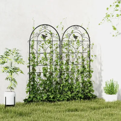 Produktbild von Rankgitter Metall 2er Set, Rankhilfe Kletterpflanzen Spalier, Vogelmotiv pulverbeschichtet, Schwarz | 50 x 120 cm | zum Stecken | rostfrei