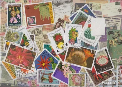 Produktbild von Briefmarken Motive 25 verschiedene Kakteen Marken