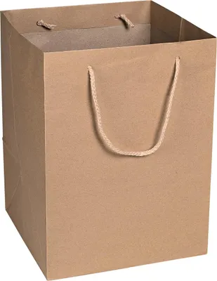 Produktbild von Papiertragetaschen 26 x 35 x 26 cm, Braun, glatt, Kordelhenkel - 12er Pack