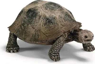 Image de Schleich - Figurine Tortue géante 17015