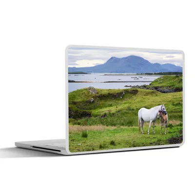 Produktbild von MuchoWow® Laptop Aufkleber Sticker Cover Mutterpferd und Fohlen in Irland 36.5x27.5 cm - Laptop-Sticker