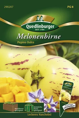 Produktbild von Birnenmelone ' Solanum muricatum ' Quedlinburger Gemüsesamen