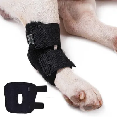 Image de Solidchoice - Genouillère pour chien, pour la protection des plaies et la récupération