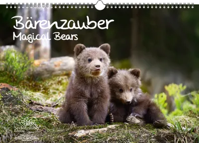 Produktbild von Bärenzauber DIN A3 Kalender - Immerwährender Kalender Bären - Seelenzauber