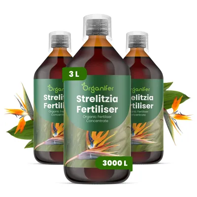 Zdjęcie produktu dla Strelicja Nawóz Płynny 3x1 L – 2-1-8 NPK – Do Strelície – Podporuje Silne Listy i Rovnomernú Tvorbu Kwiatów – Organifer