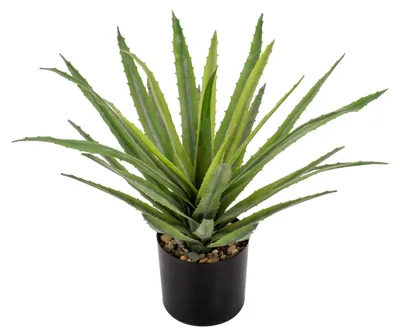 Produktbild von 33 cm hohe Kunstpflanze Agave im Topf, künstliche Aloe Vera für die Raumdekoration