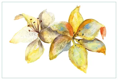 Produktbild von Wallario Küchenrückwand aus Glas, Größe: 90 x 60 cm, Motiv: Aquarell von gelben Lilien | Spritzschutz | abwischbar | pflegeleicht | in