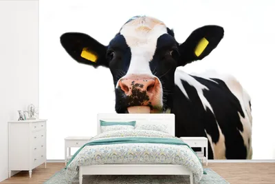 Produktbild von MuchoWow® Fototapete für Wohnzimmer oder Schlafzimmer Wandtapete Vinyl Motivtapete Kuh - Schwarz - Weiß - 390x260 cm - Papiertapete