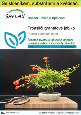 Obrázek produktu pro SAFLAX Kultivační sada - Trpasličí granátové jablko - Punica granatum nana - 50 Semena - S mini skleníkem, pěstebním substrátem a 2 květináči