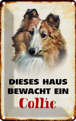 Produktbild von vianmo Blechschild 30x20 cm Hund dieses Haus bewacht ein Collie Tier Haustier