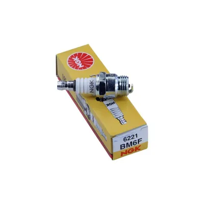 Immagine prodotto di Candela di accensione NGK BM6F, 6221