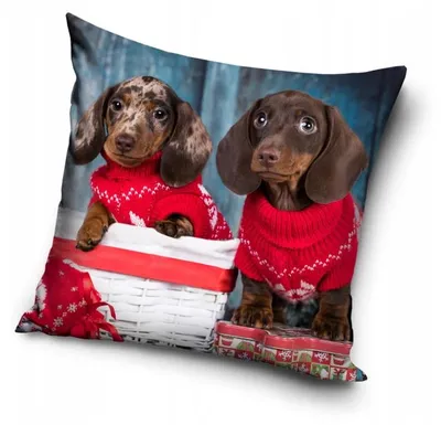Produktbild von Carbotex Kissenbezug Hund Dekokissen 40x40 cm