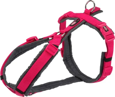 Obrázok produktu pre TRIXIE New Premium Trekking Harness, S-M: 44-53cm/20mm, Fuchsia/Graphite, Pes