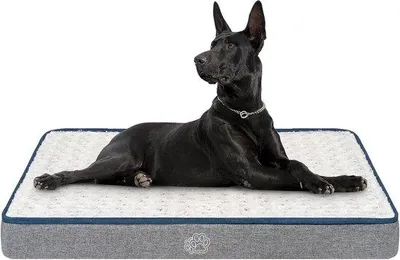 Immagine prodotto di Letto ortopedico per cani XXL grigio 112x76x75 cm