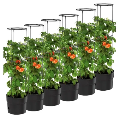 Produktbild von 6er Set Tomatentöpfe 28L mit Wasserspeicher und Rankhilfe Ø 40 cm H 153 cm