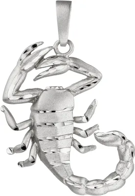Produktbild von Anhänger Sternzeichen Skorpion 925 Silber Halsschmuck rhodiniert teilmattiert