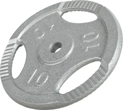 Obrázok produktu pre Gorilla Sports Liatinová záťažová doska, strieborná, 10 kg