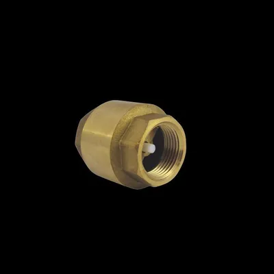 Produktbild von AquaCraft Rückschlagventil 1001000104 3/4", messing