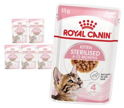 Produktbild von Royal Canin FHN Kitten Sterilised in Gravy 6x85g Nassfutter für sterilisierte Kätzchen bis 12 Monate
