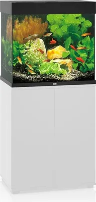 A black and white aquarium with fish and plants inside, placed on a white cabinet.