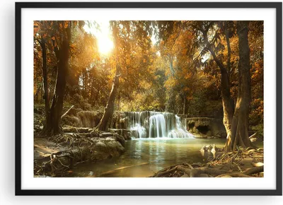 Produktbild von Gerahmtes Poster - Schwarzer Rahmen - Park Wasserfall Wasser - 70x50 cm - Wand Bild - Wanddeko - Wandbilder - Kunstposter - Wandposter - Bilderrahmen - Bilder - Kunstdruck - Wandbild - P2BAA70x50-3789