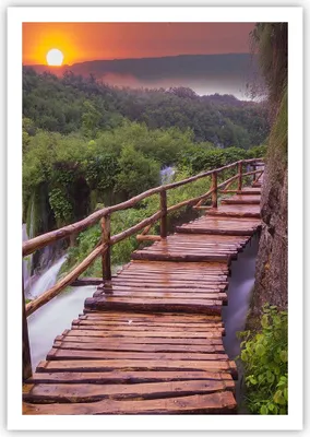 Produktbild von Poster - Poster ohne Rahmen - Park Natur Wasser - 70x100 cm - Wand Bild - Wanddeko - Wandbilder - Kunstposter - Wandposter - Bilder - Kunstdruck - Wanddekoration - Wandbild - P2XPA70x100-3962
