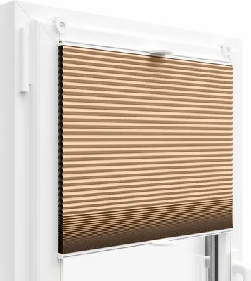 Image de THERMO VOŠTINOVÉ PLÁŠTĚNÉ ŽALUZIE 100% ZATMĚNÍ PLISOVANÉ ŽALUZIE (Latte Macchiato PM03, 50x120 cm)