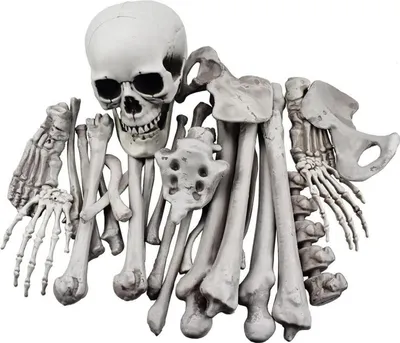 Produktbild von Halloween Deko Skelettknochen Totenkopf 28-teilig Friedhofsgrund Party_Set