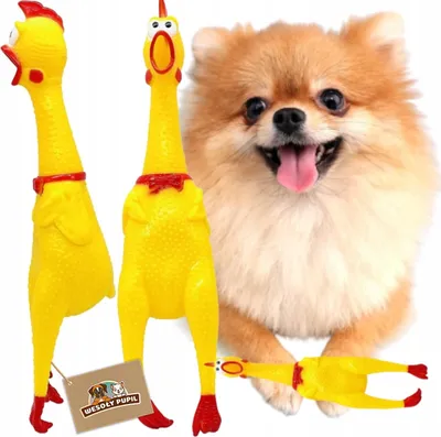 Produktbild von Gummispielzeug HÜHNCHEN für Hunde, quietschend, 16 cm