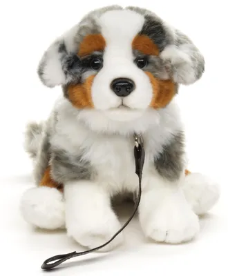 Produktbild von Uni-Toys - Australischer Schäferhund Welpe, sitzend (mit Leine) - 22 cm (Höhe) - Plüsch-Hund - Plüschtier, Kuscheltier