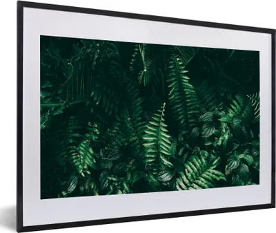 Produktbild von MuchoWow® Gerahmtes Poster Blätter - Dschungel - Natur - Tropisch - Pflanzen 60x40 cm - Poster mit Schwarzem Bilderrahmen Wandposter Rahmen Foto Bilder - Schlafzimmer - Plakat in Rahmen - Drucken
