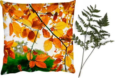 Produktbild von MuchoWow® Zierkissen Sofakissen Wohnzimmer Dekokissen 45x45 cm Herbstblätter - Baum - Rustikal - Schlafpolster - Polster für das Sofa